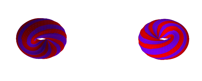 A 12-gon torus with 10 face twists.