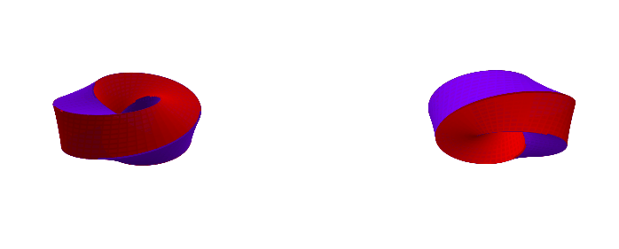 A torus with a square cross-section.