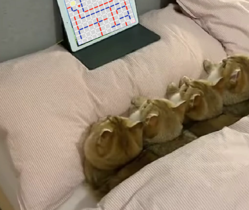 The Wall Game Project