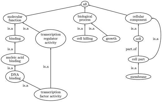 SANA NetGO: a combinatorial approach to using Gene Ontology (GO) terms to score network alignments